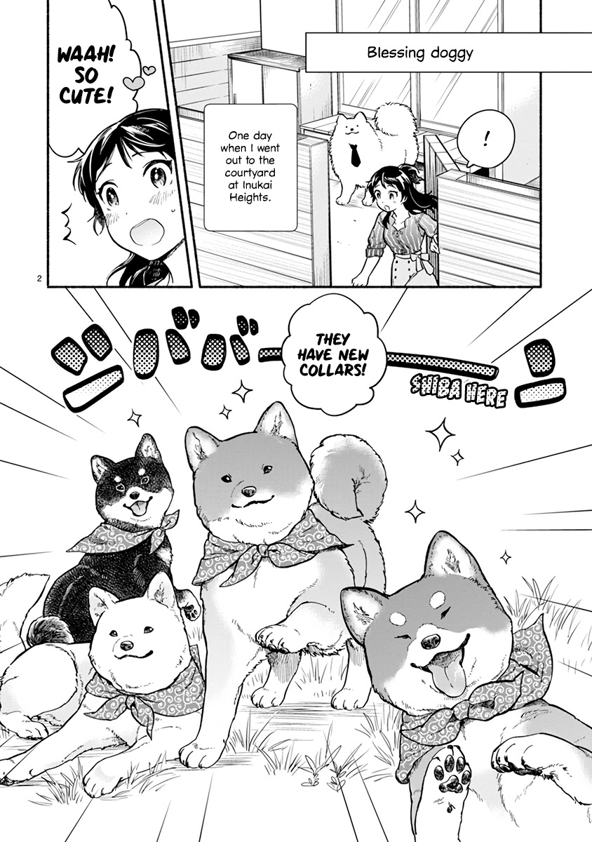 One-Room, Dog Chapter 17 #2