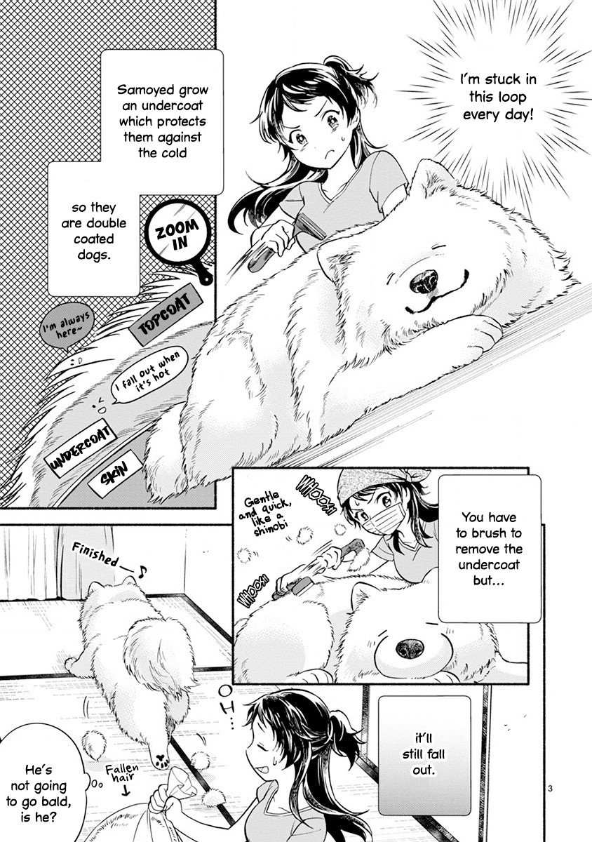 One-Room, Dog Chapter 6 #5