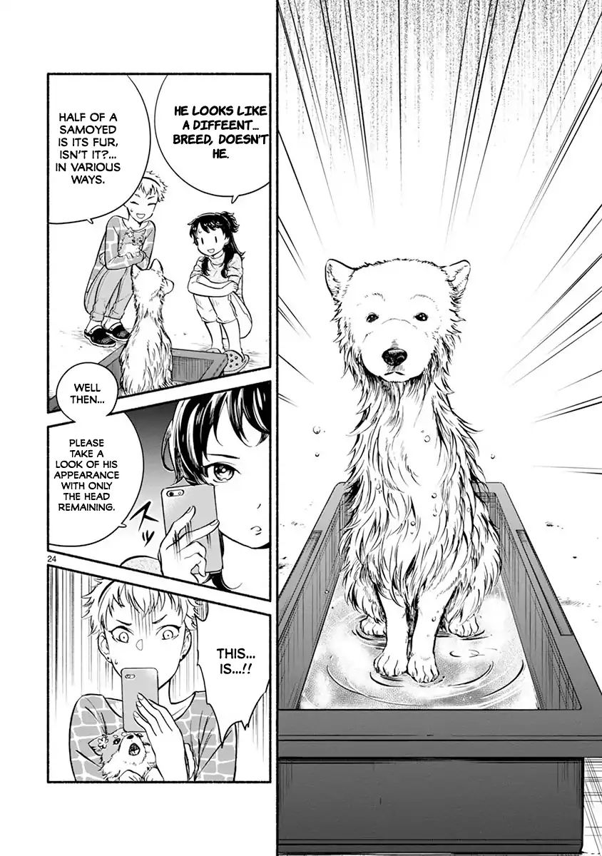 One-Room, Dog Chapter 1 #28