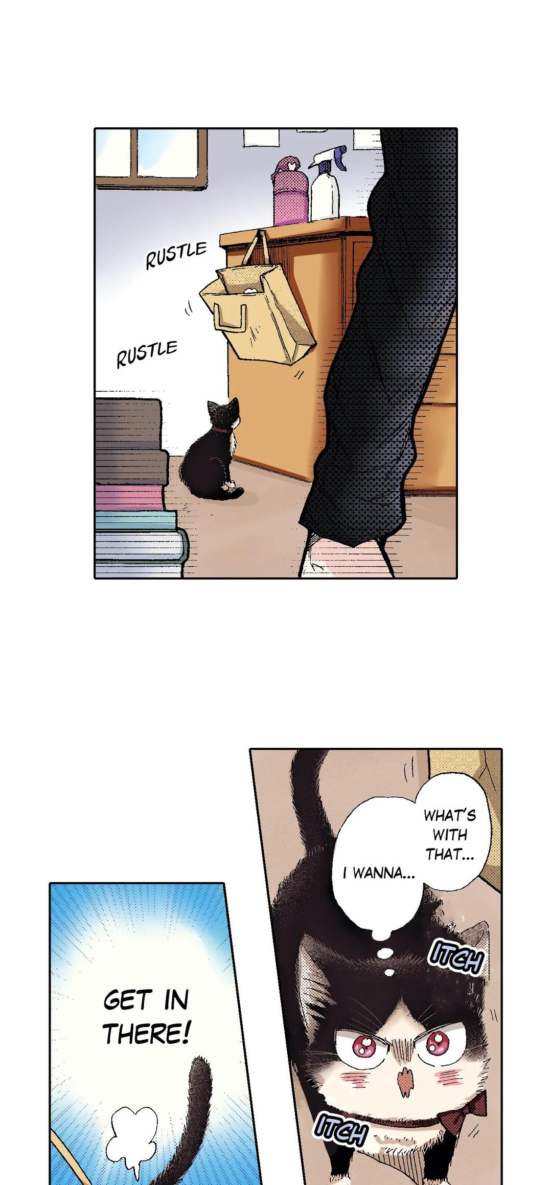 My Roommate Is A Cat Chapter 49 #4