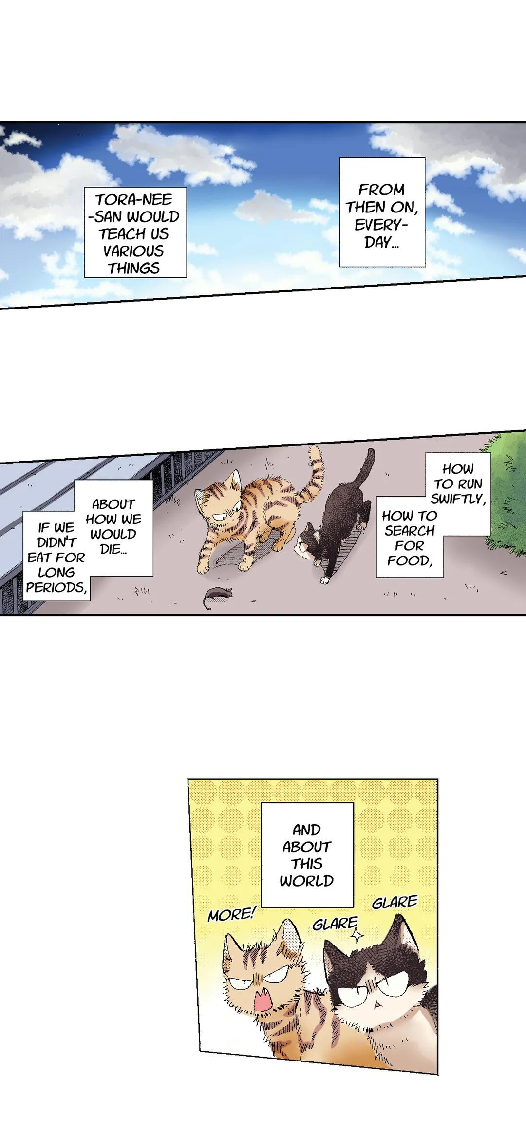 My Roommate Is A Cat Chapter 49 #26