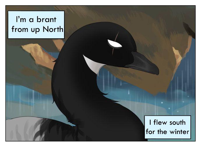 Southern Bird And Northern Bird Chapter 42 #1