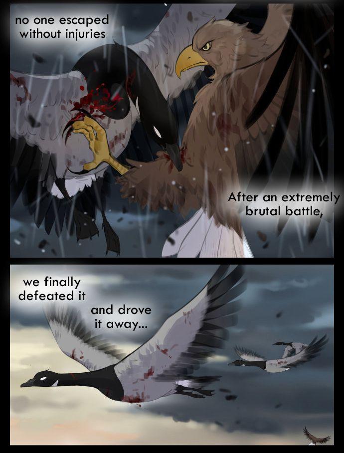 Southern Bird And Northern Bird Chapter 42 #7