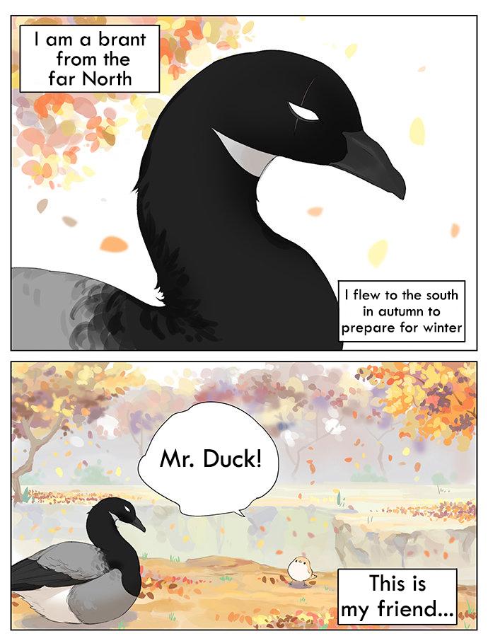 Southern Bird And Northern Bird Chapter 37 #1