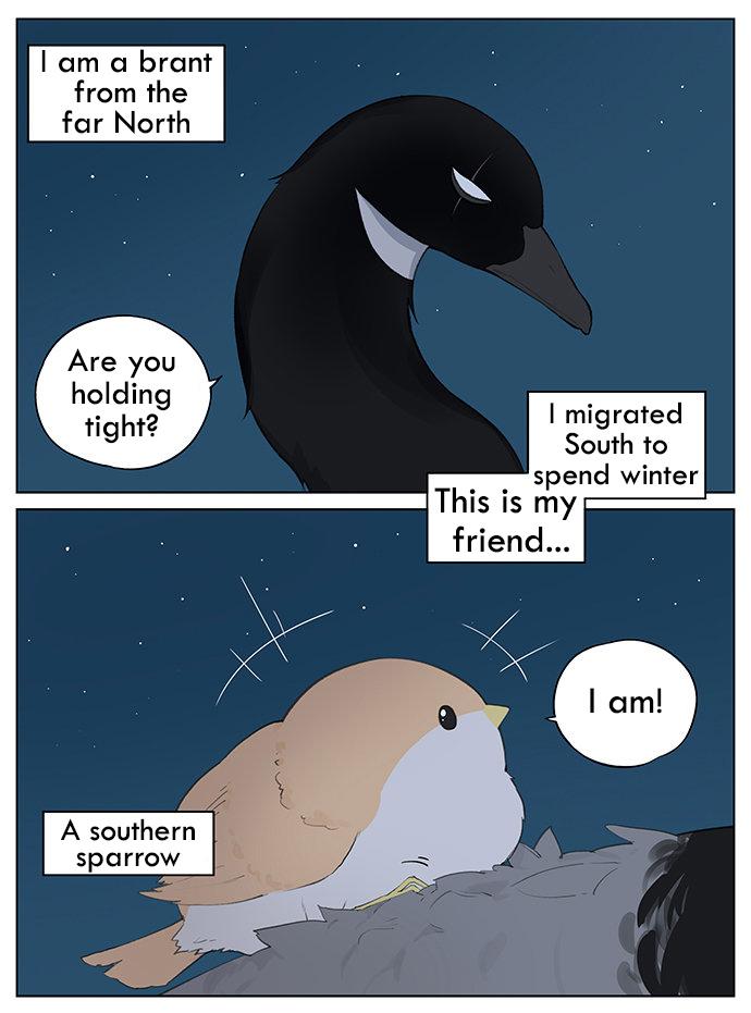 Southern Bird And Northern Bird Chapter 35 #1