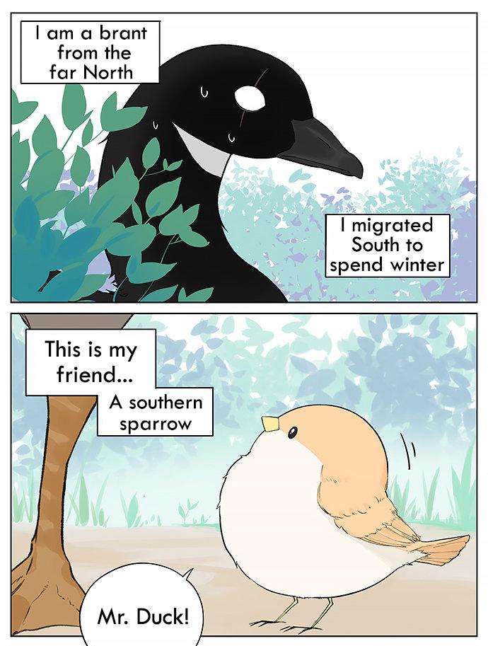 Southern Bird And Northern Bird Chapter 31 #1