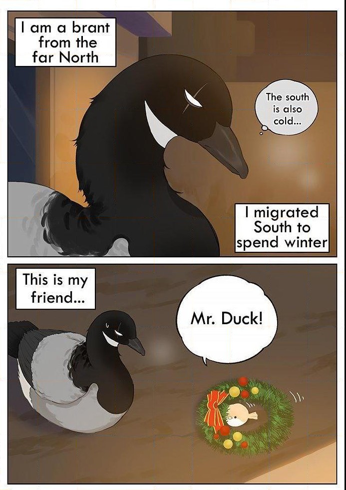 Southern Bird And Northern Bird Chapter 28 #1