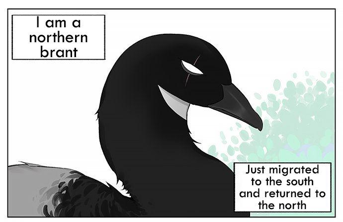 Southern Bird And Northern Bird Chapter 21 #1