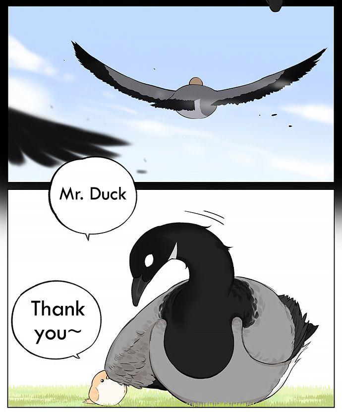 Southern Bird And Northern Bird Chapter 20 #8