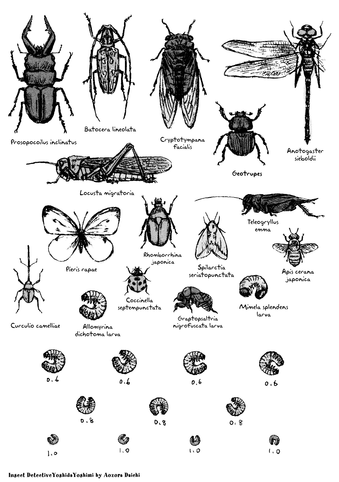 Insect Detective Yoshida Yoshimi Chapter 1 #3