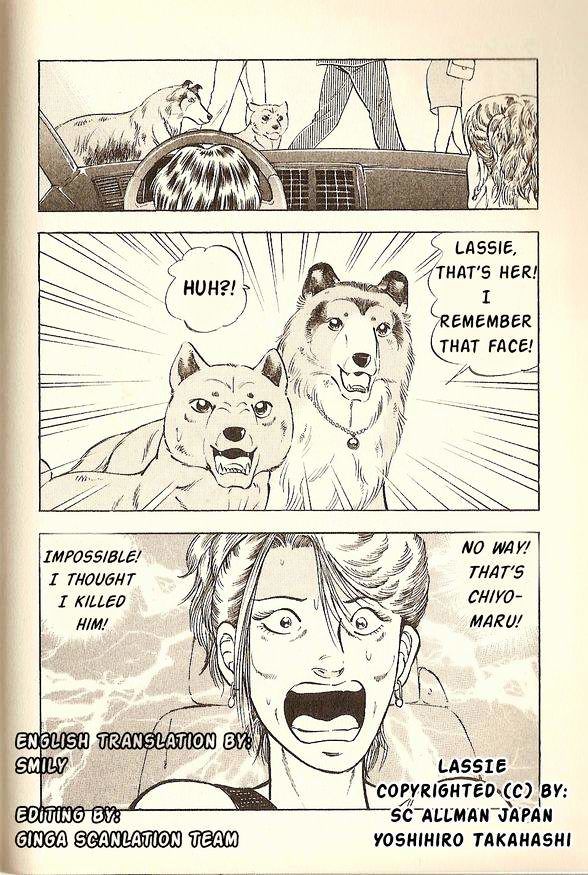 Lassie Chapter 11 #12