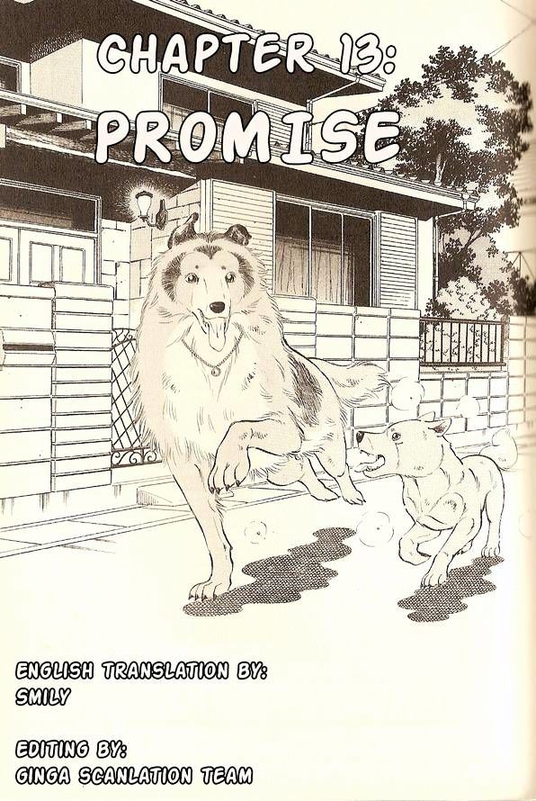 Lassie Chapter 13 #1