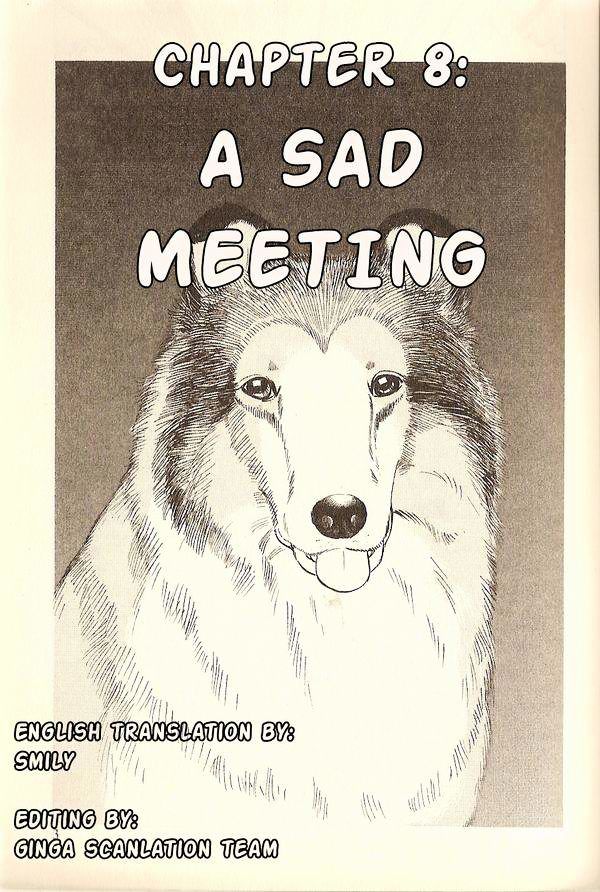 Lassie Chapter 8 #1