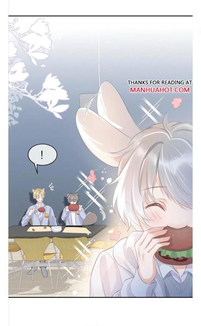 A Rabbit Down In A Bite Chapter 4 #8