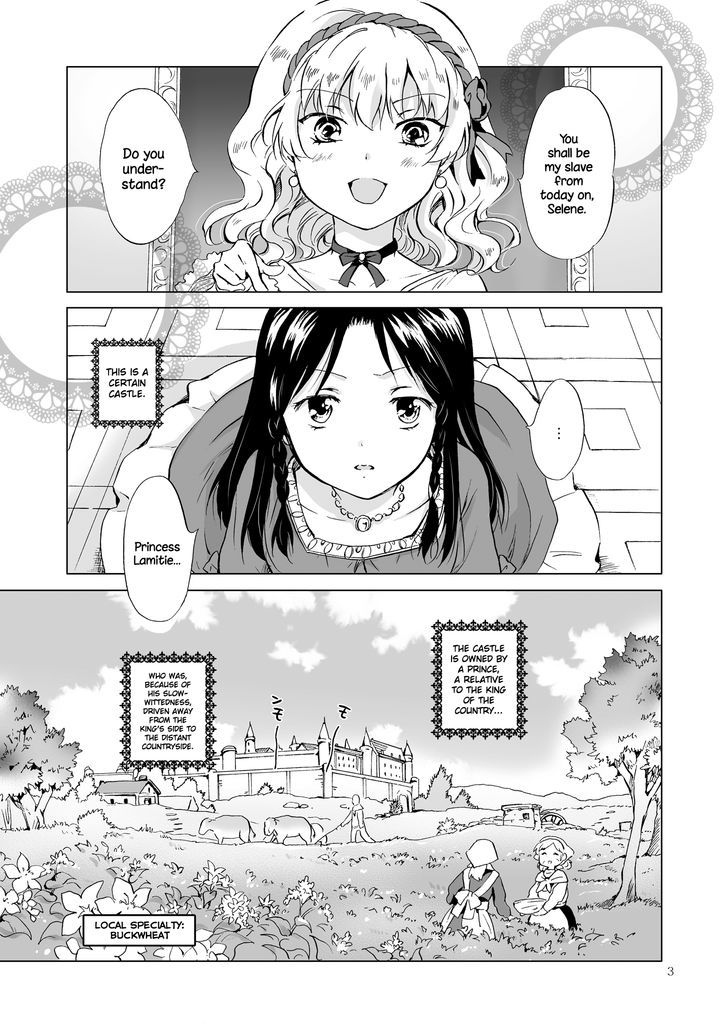 Hime-Sama To Dorei-Chan Chapter 1 #2