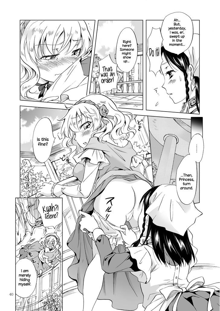 Hime-Sama To Dorei-Chan Chapter 1 #39