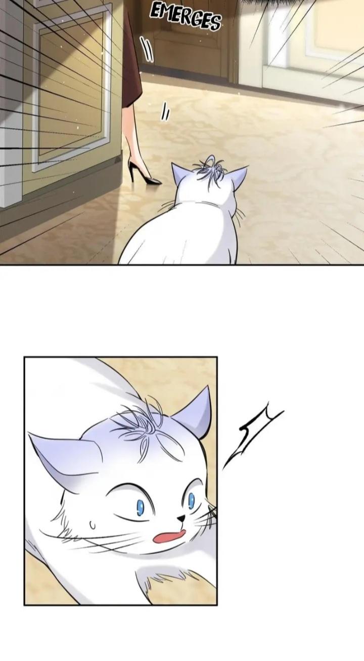 I Have To Work Hard As A Cat Today Chapter 47 #8