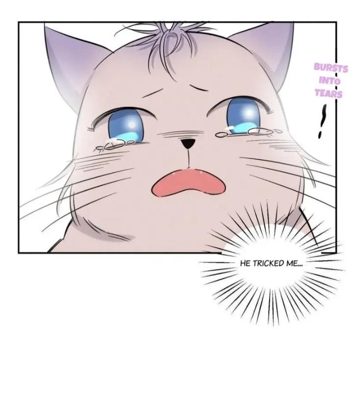 I Have To Work Hard As A Cat Today Chapter 40 #14