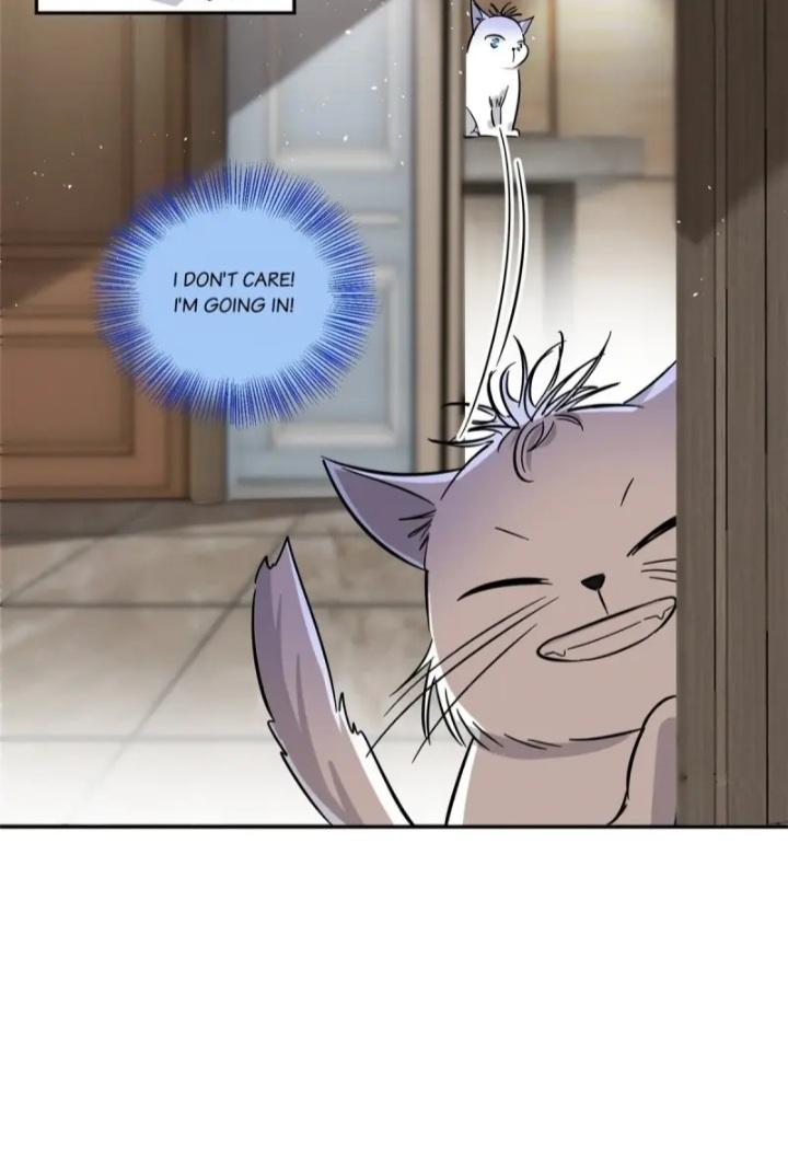 I Have To Work Hard As A Cat Today Chapter 28 #12