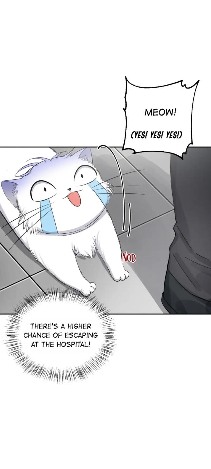 I Have To Work Hard As A Cat Today Chapter 8 #18