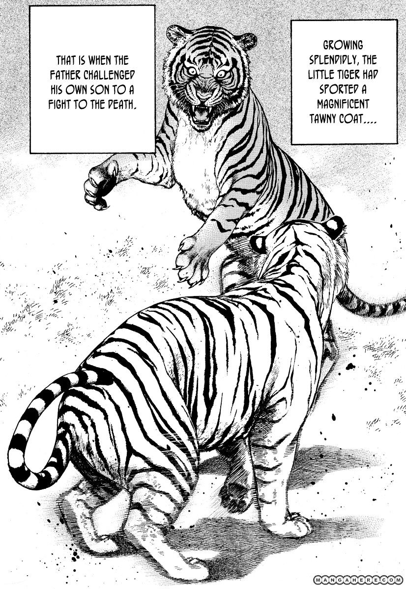 Tough Chapter 217 #5