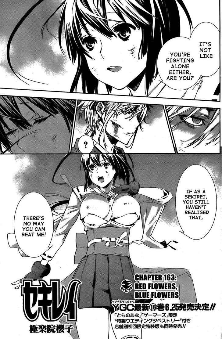 Sekirei Chapter 163 #1