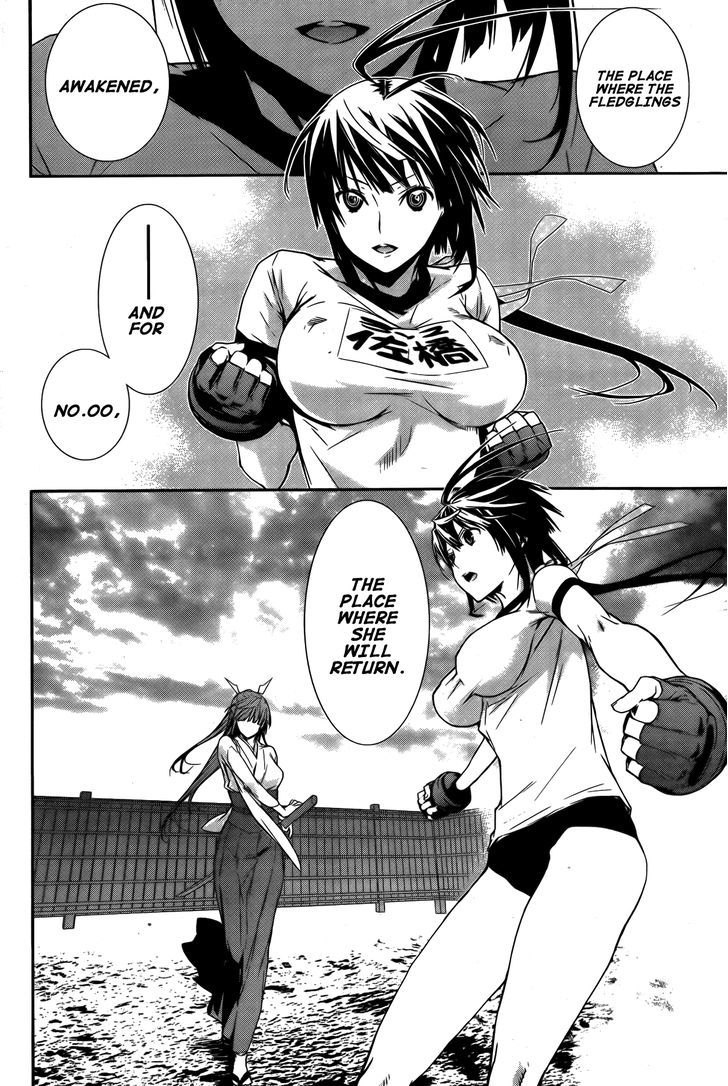 Sekirei Chapter 137 #5