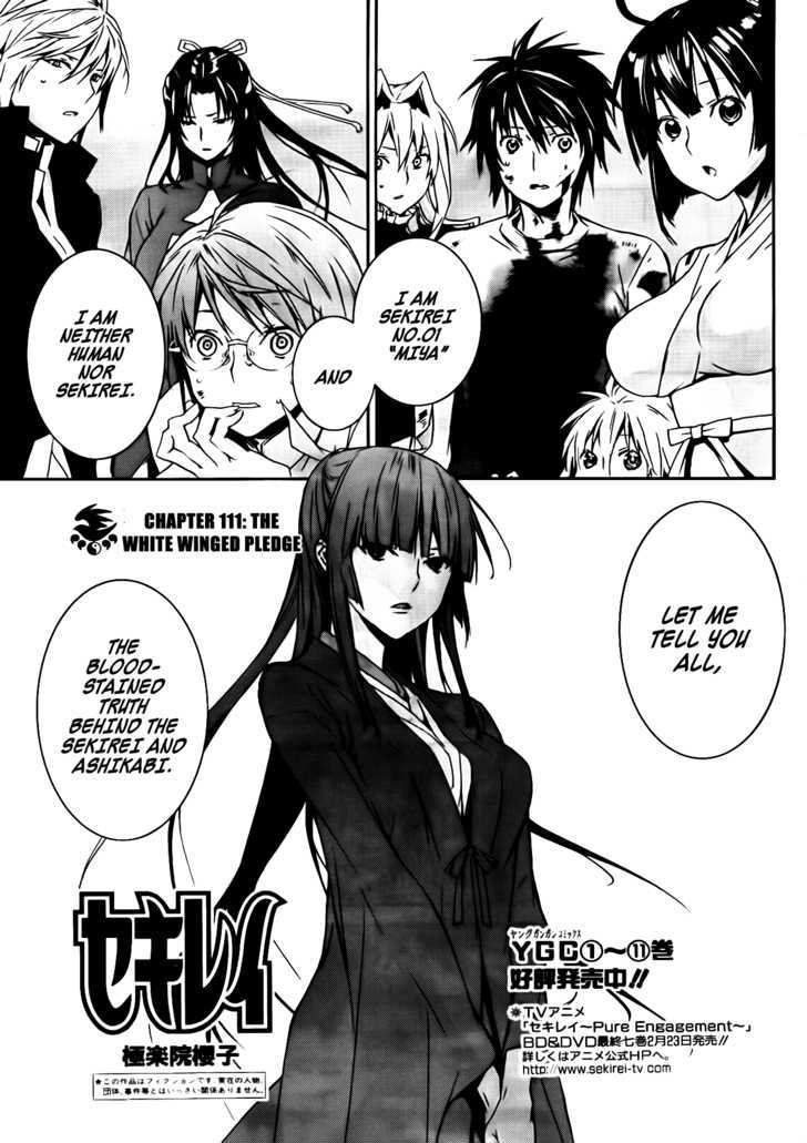 Sekirei Chapter 111 #2