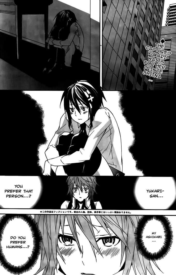 Sekirei Chapter 102 #4