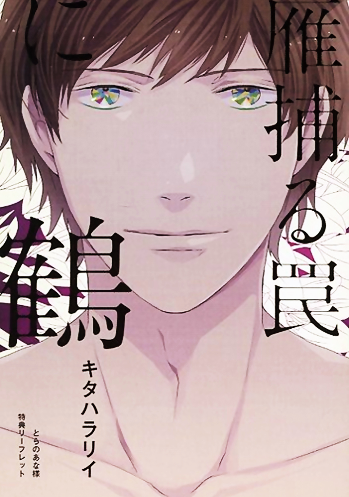 Hakidame To Tsuru Chapter 2 #3