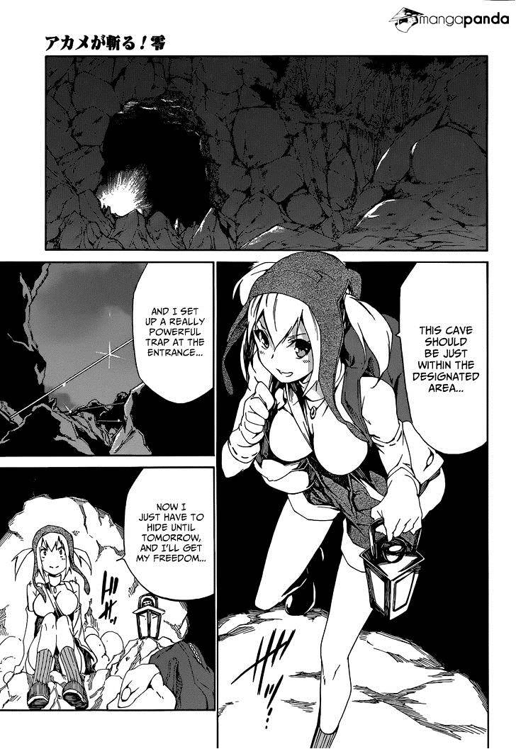 Akame Ga Kiru! Zero Chapter 4.2 #6