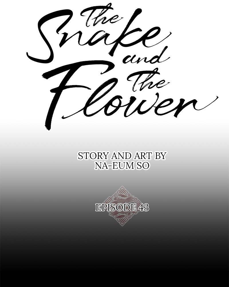 Do Snakes Eat Flowers? Chapter 43 #29