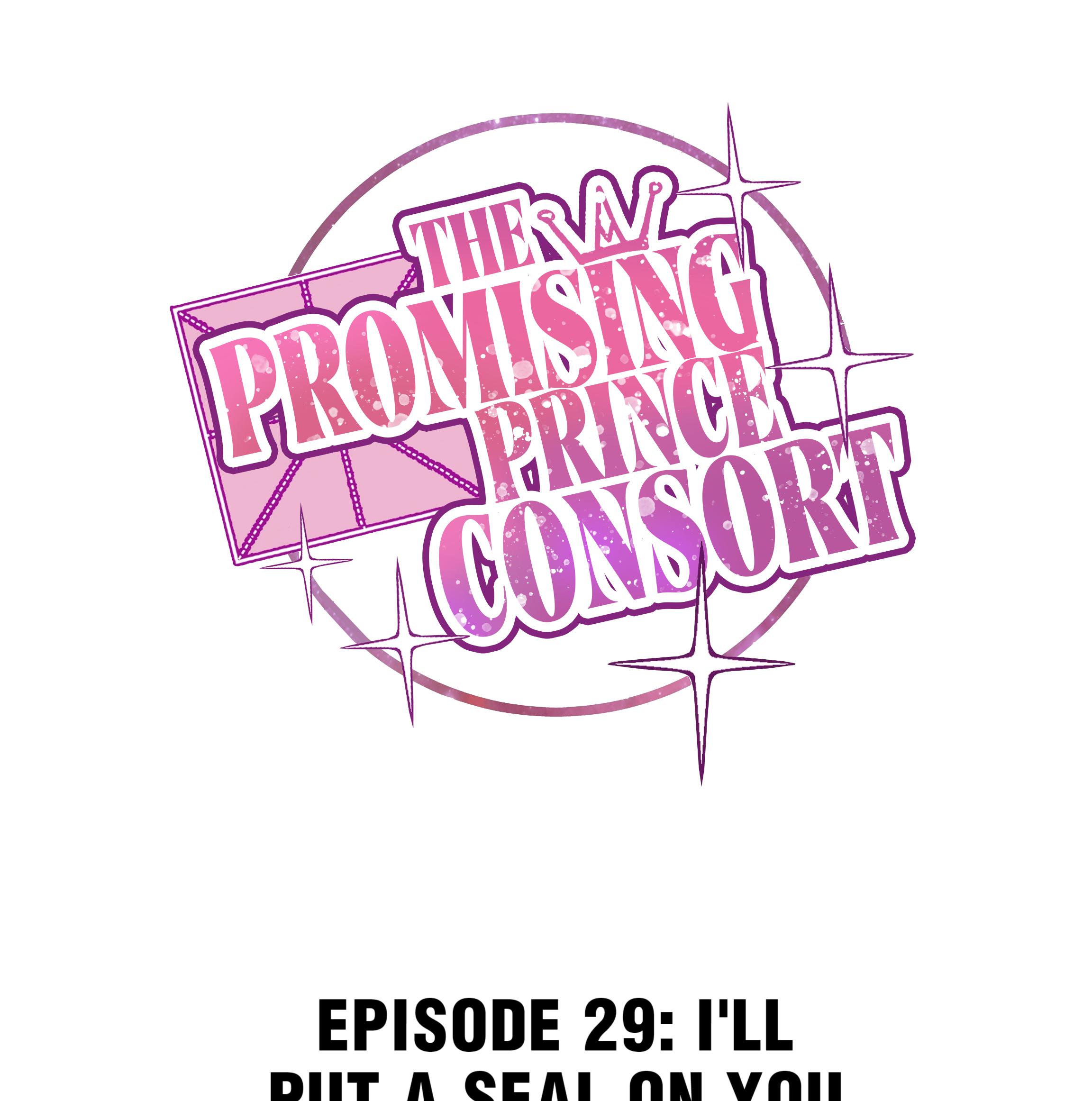 The Prince Consort Is Passing Chapter 29 #1