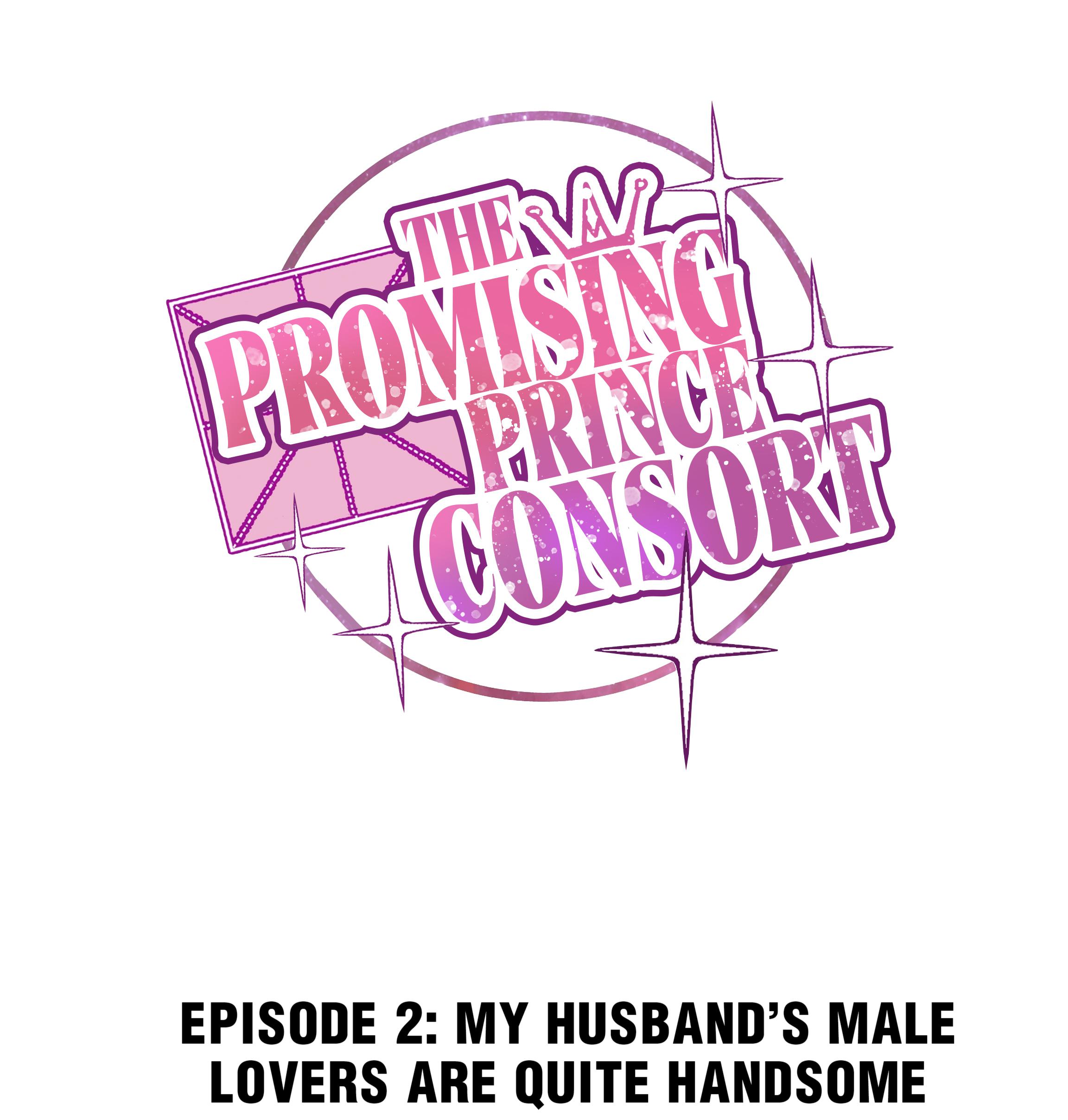 The Prince Consort Is Passing Chapter 2 #1