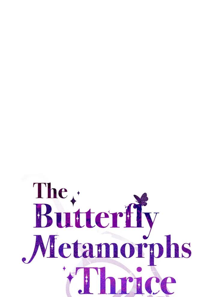 A Butterfly Metamorphoses Three Times Chapter 33 #18