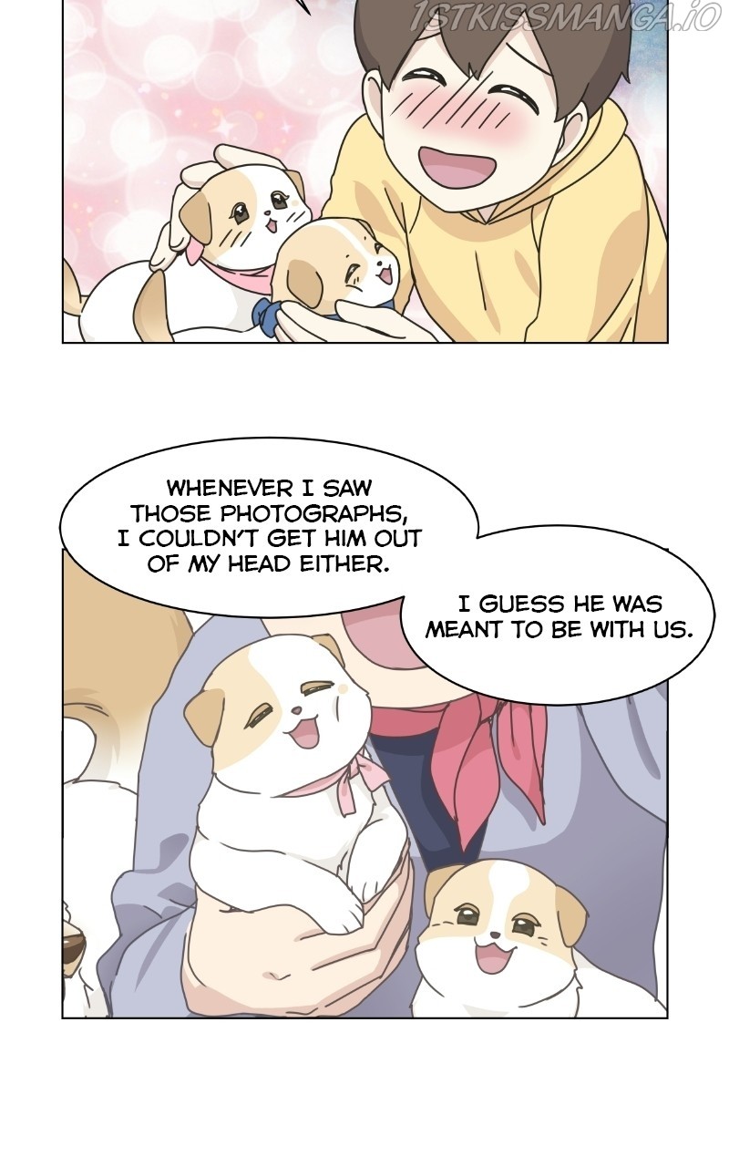 The Dog Diaries Chapter 74 #32