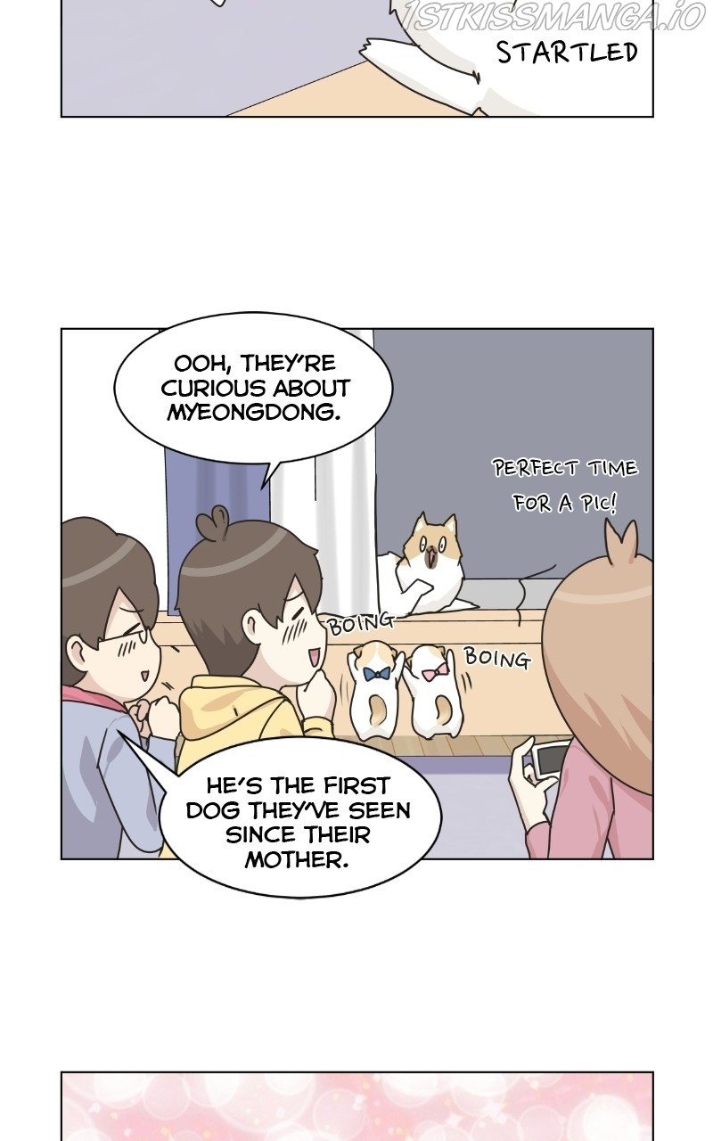 The Dog Diaries Chapter 74 #37