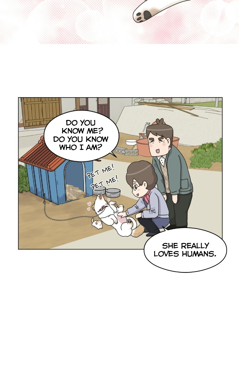 The Dog Diaries Chapter 72 #61