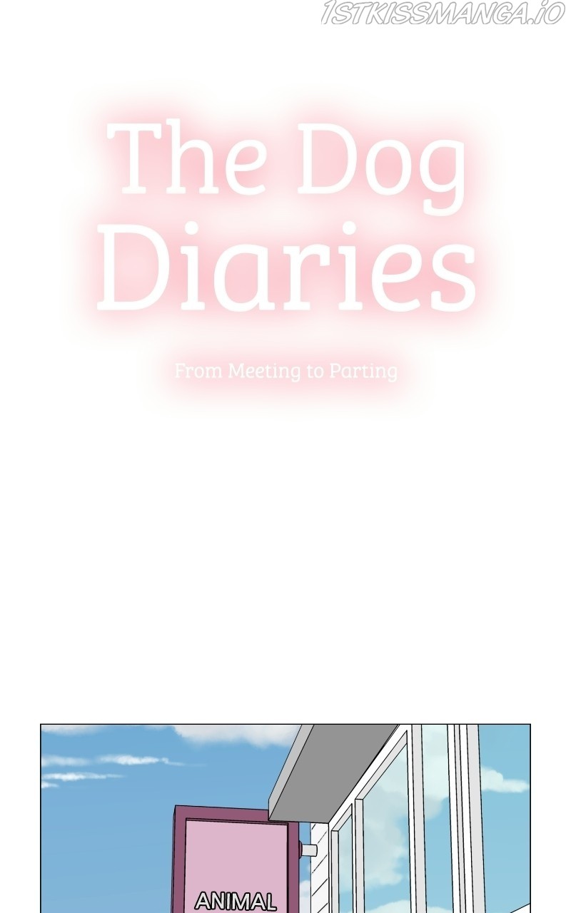 The Dog Diaries Chapter 64 #6