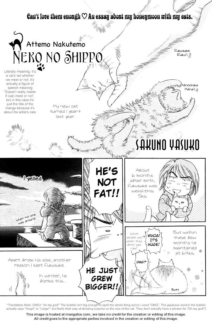 Attemo Nakutemo Neko No Shippo Chapter 1 #3