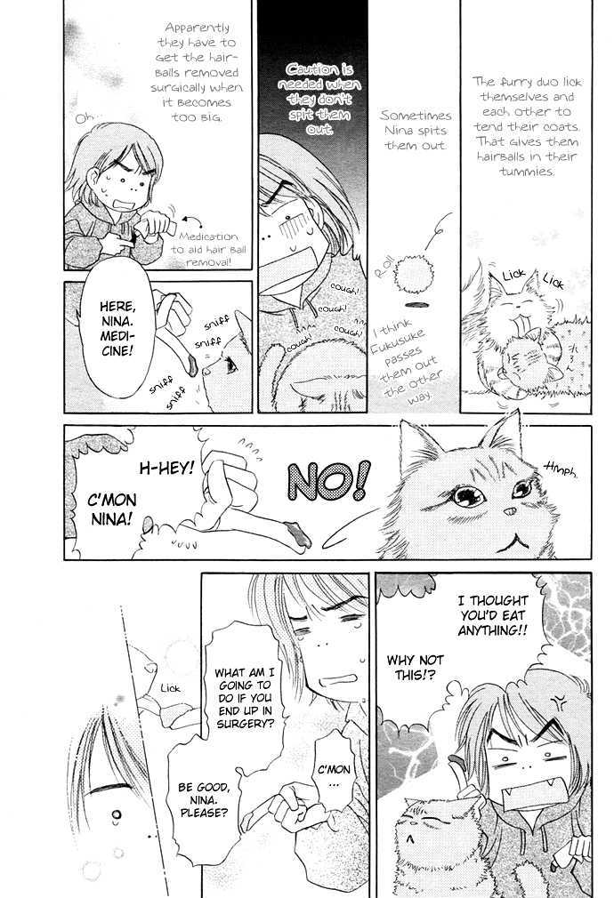 Attemo Nakutemo Neko No Shippo Chapter 0 #5