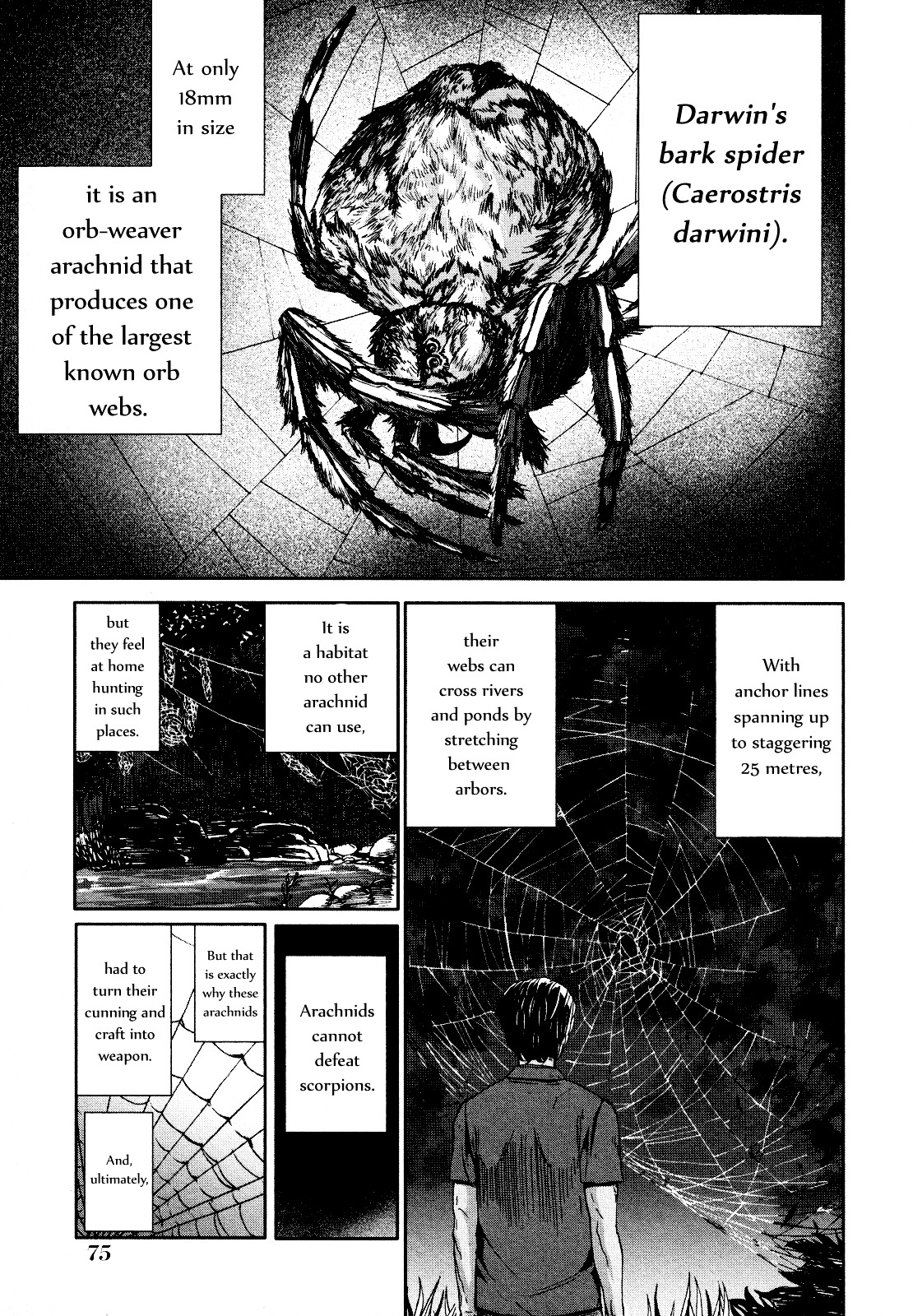 Arachnid Chapter 57 #10