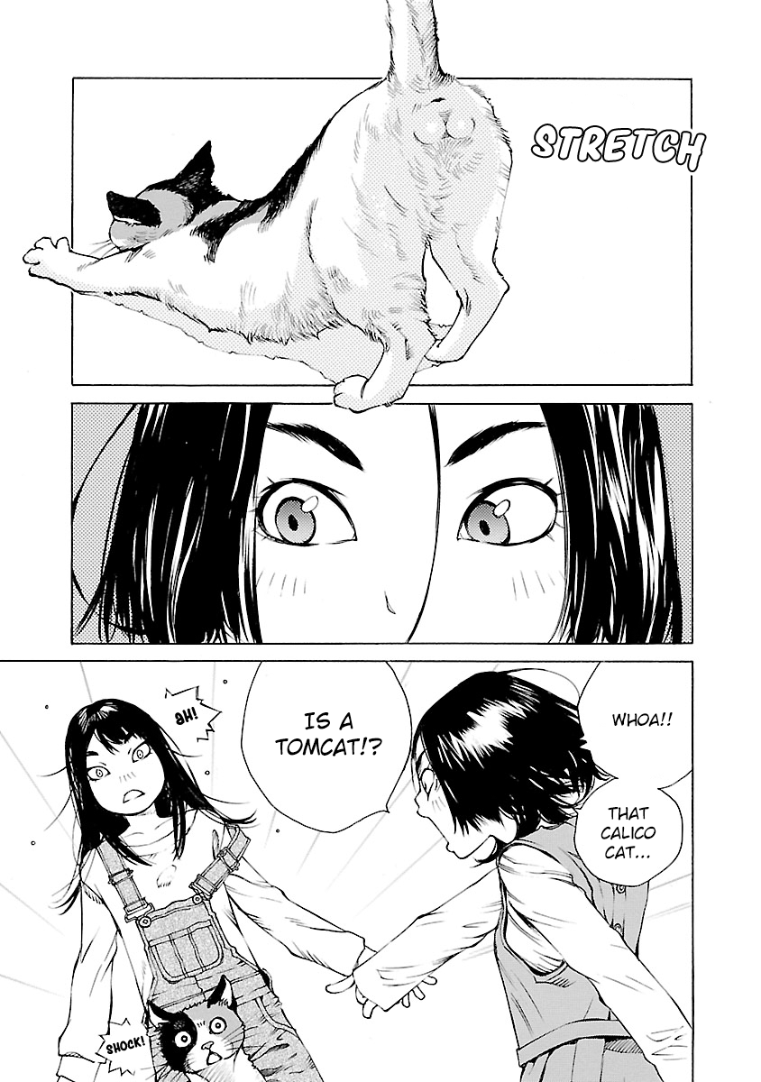 Ao No Shima To Neko Ippiki Chapter 13 #6