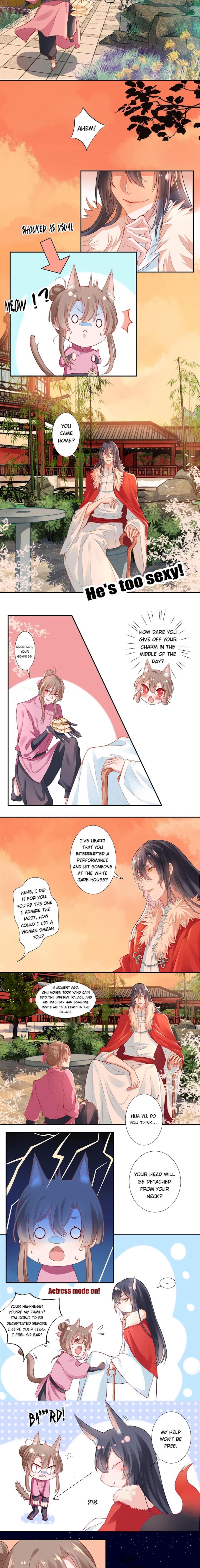 9000 Years Old Empress Chapter 9 #2