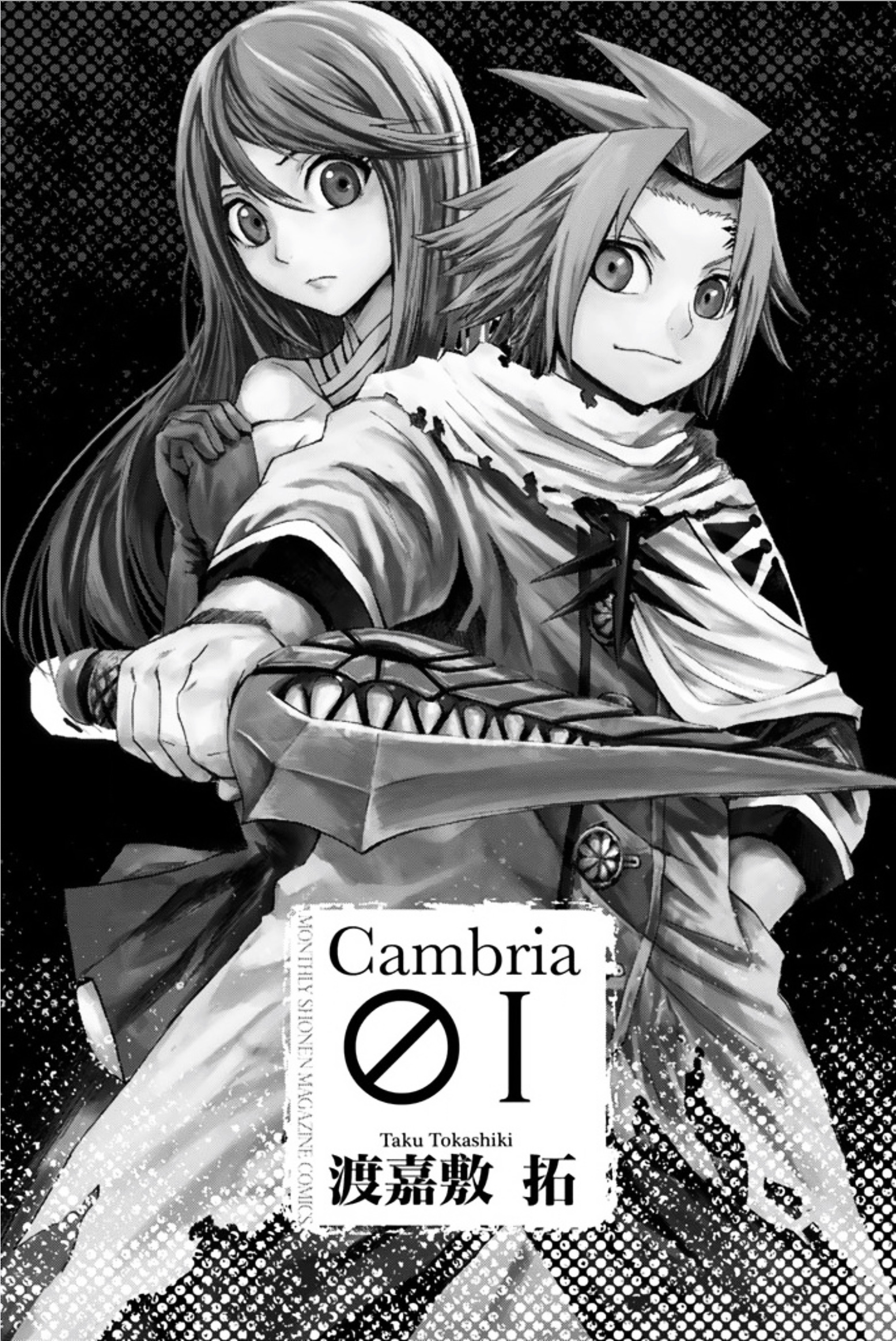 Cambria Chapter 1 #2