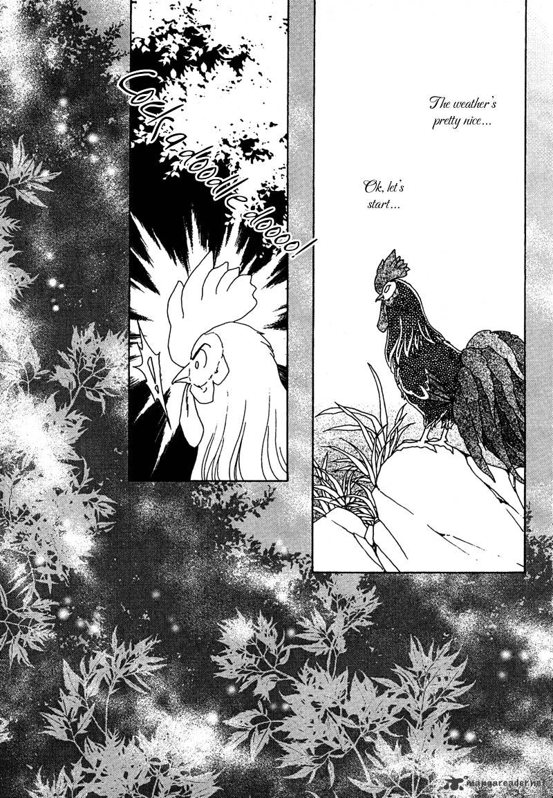 Bird Of Youth Chapter 7 #5