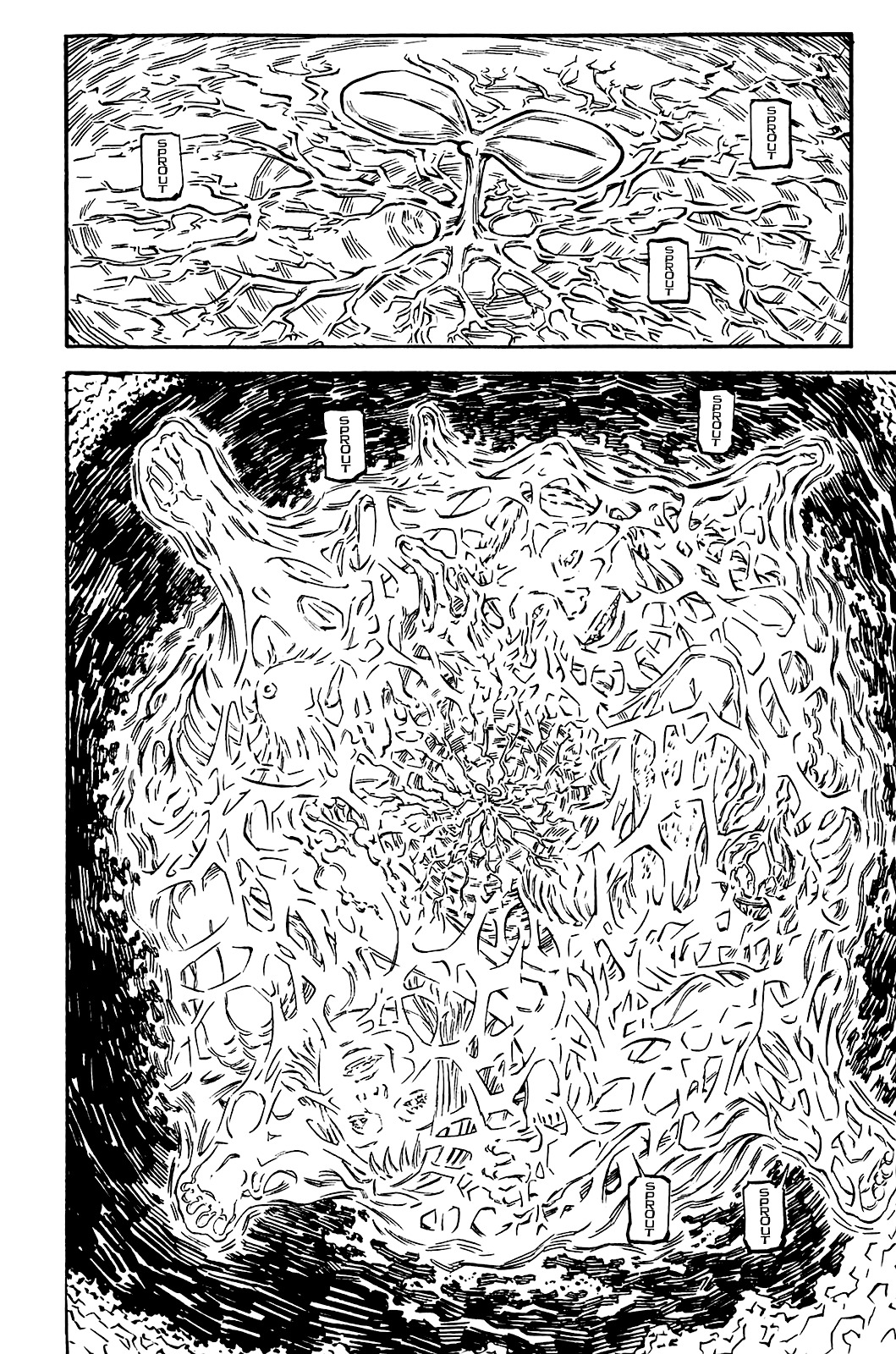 Soil Chapter 83 #17