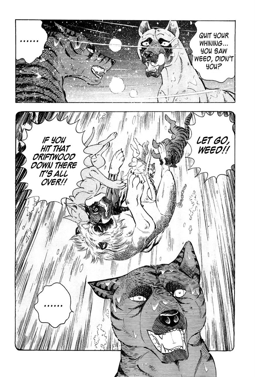 Ginga Densetsu Weed Chapter 50 #18