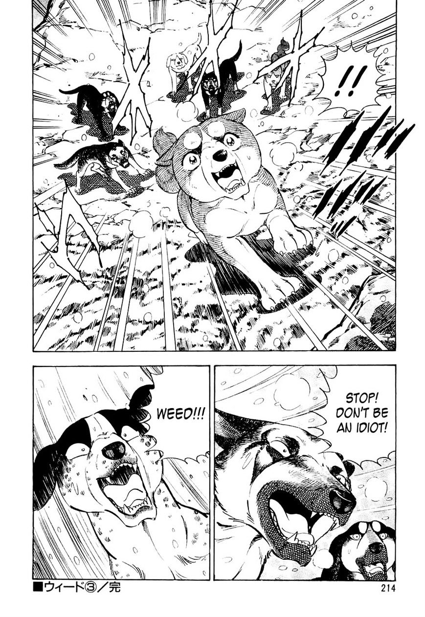 Ginga Densetsu Weed Chapter 30 #21