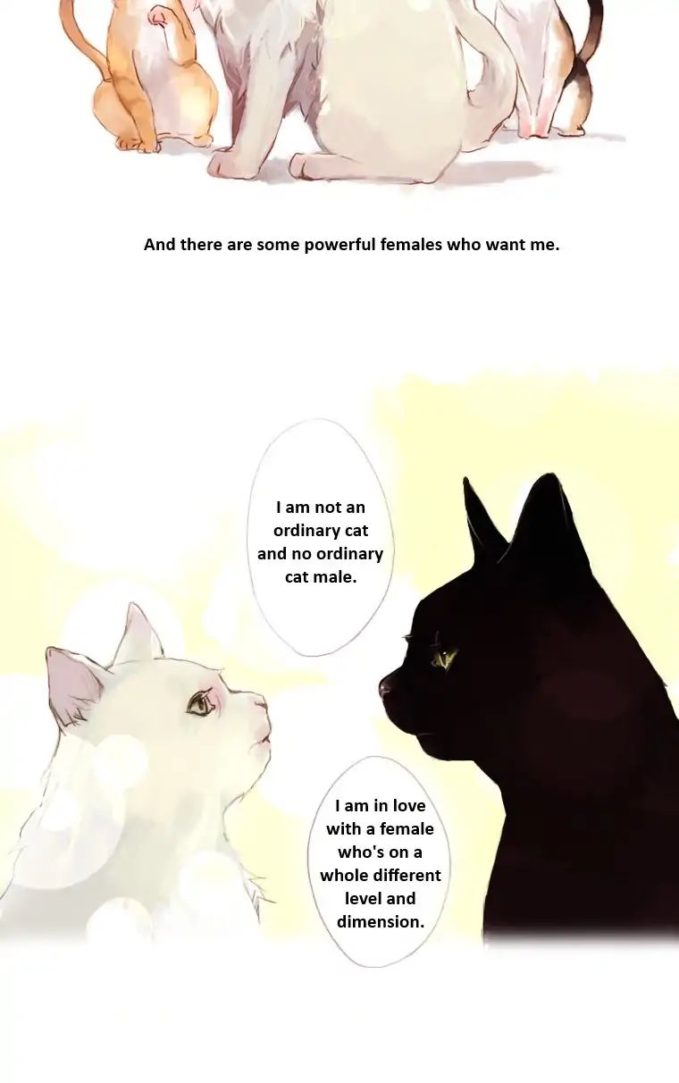 Cat Couple Chapter 2 #11